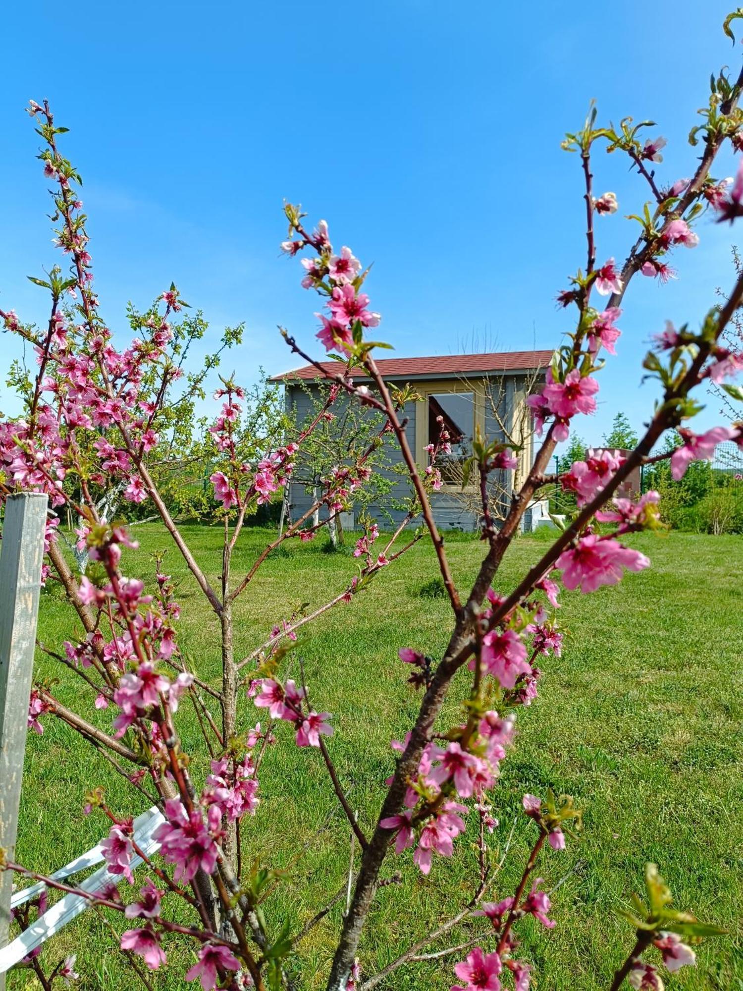 Namelis Karkleje Villa Екстериор снимка
